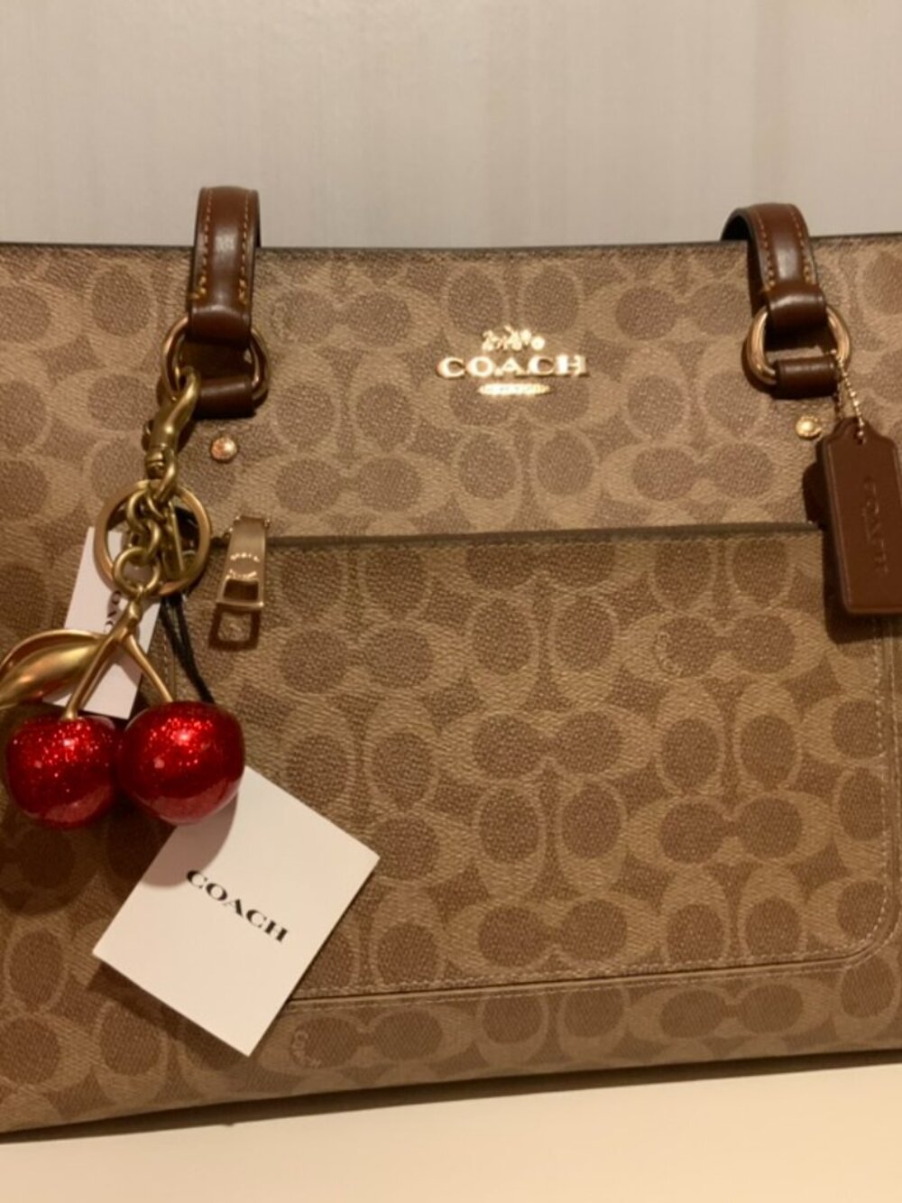 Coach Tote Bag In Signature Canvas with Authentic Coach Cherry charm